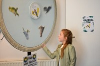 /album/onderlinge-tentoonstelling-2022/tt-2022-17-jpg/